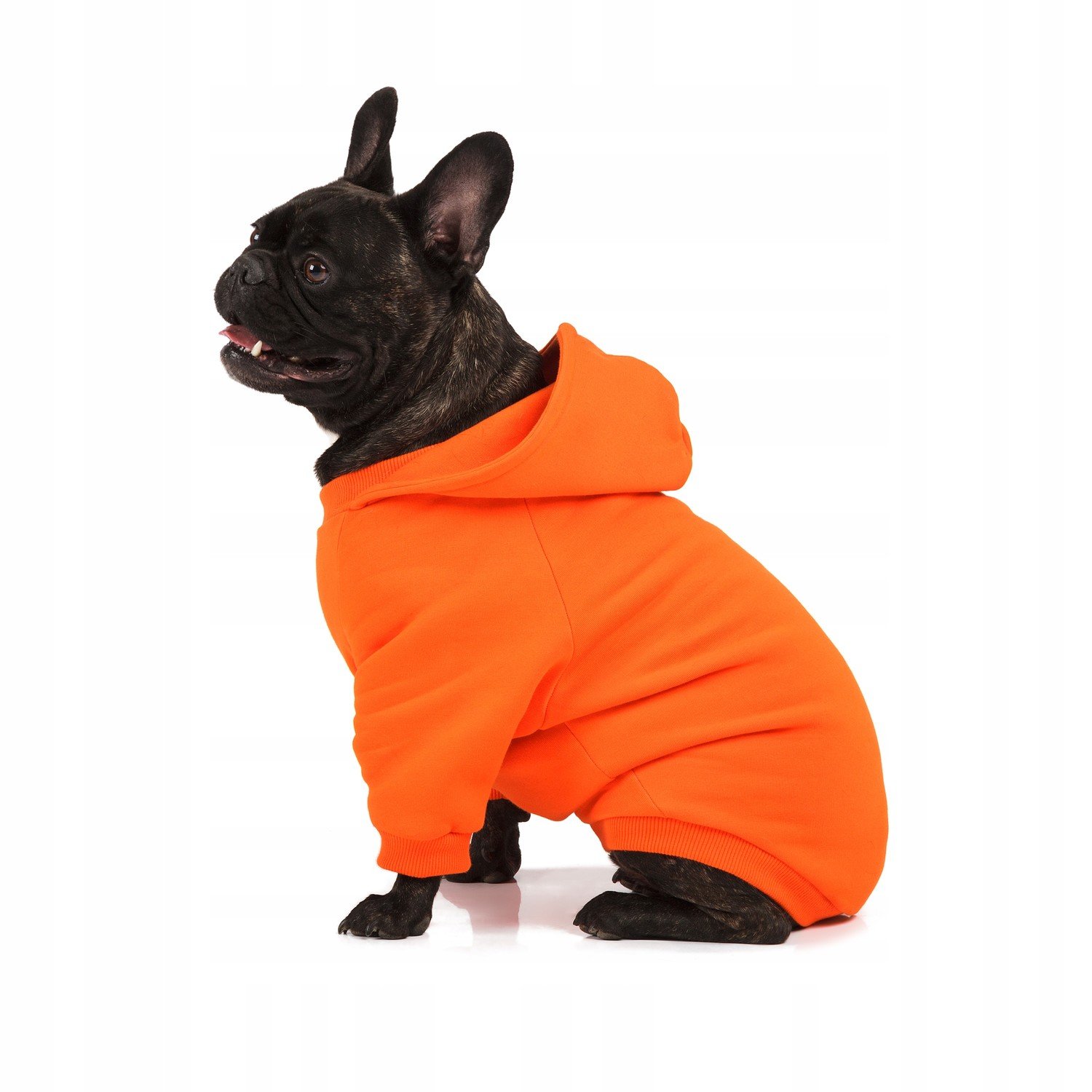 Mikina pro psy Beloved Dog Orange XL