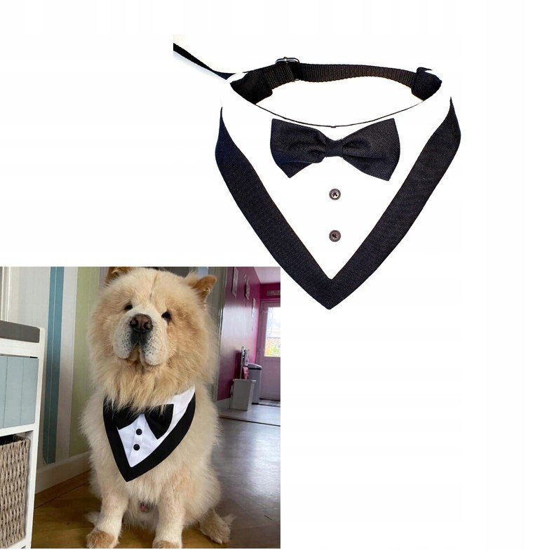 bandamka Na Slub, kravata Smoking Pro Psa XL