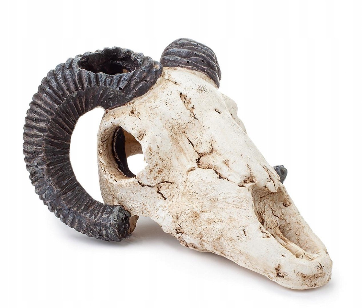 Akvarijní ozdoba Happet R112 muflonová lebka 9 cm