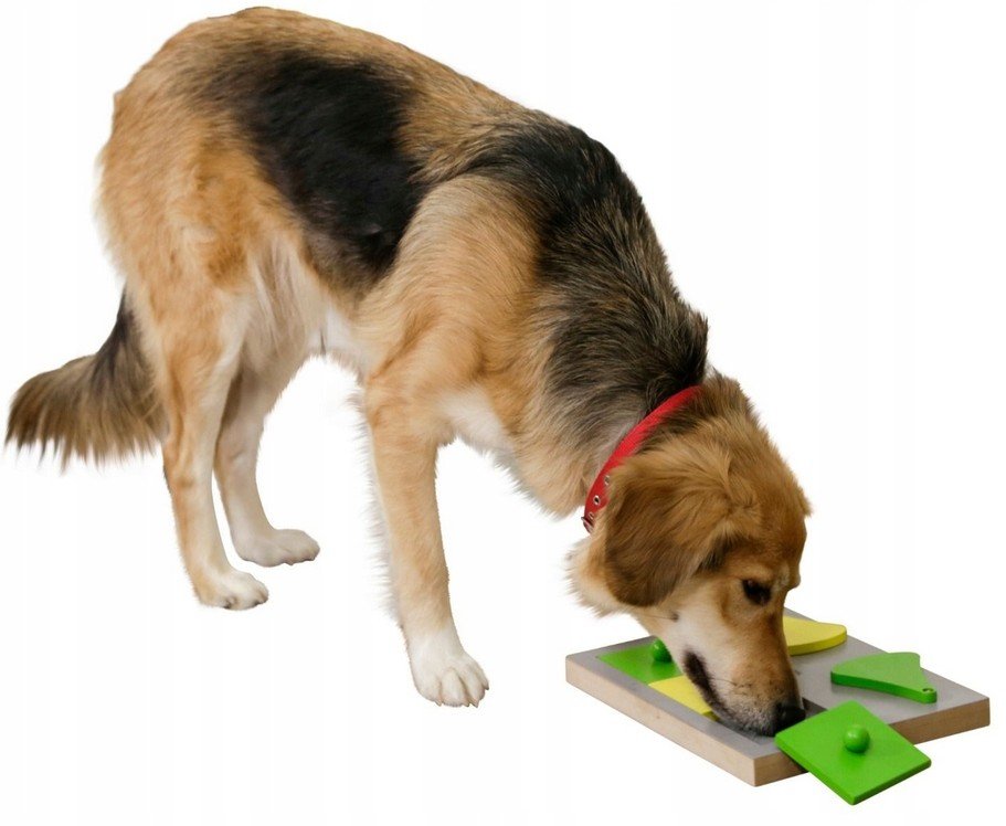 Kerbl Vzdělávací hračka pro psa Cake 30x23x4,5cm