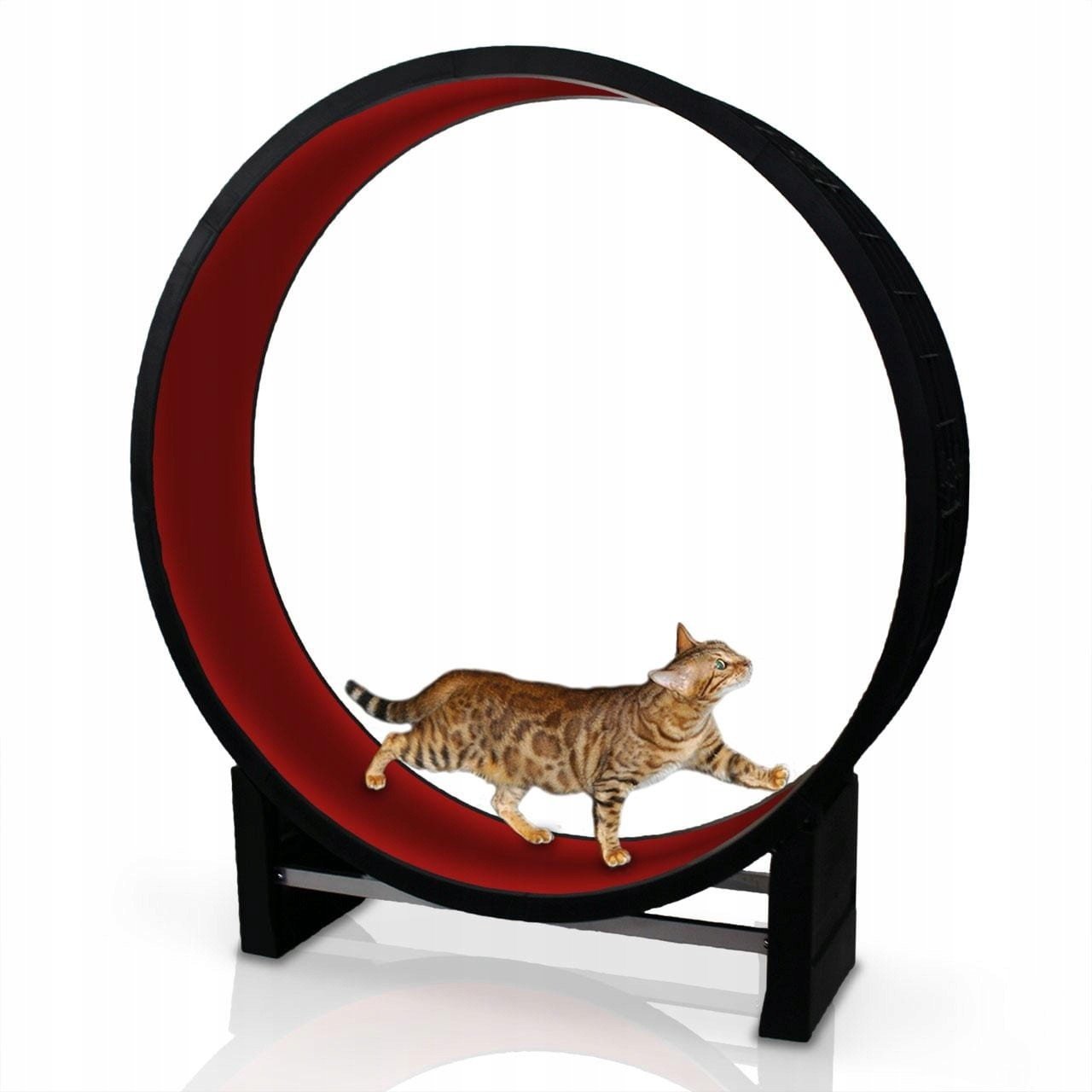Canadian Cat Company běhací kolo pro kočky - cca D 131 x Š 31 x V 144 cm, antracit / červená