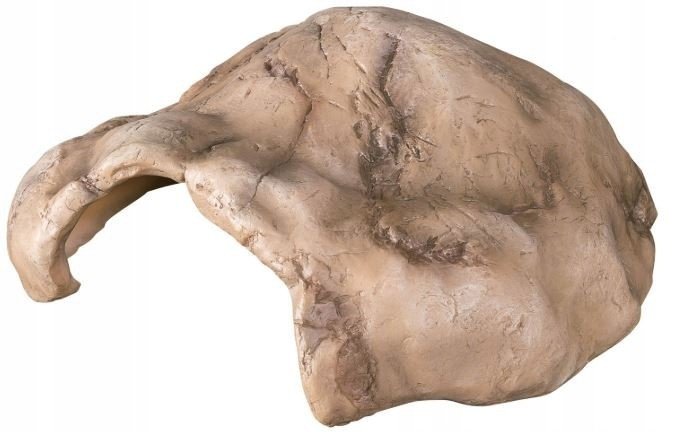 Úkryt Jeskyně Do Terária Pro Gekona Ještěr