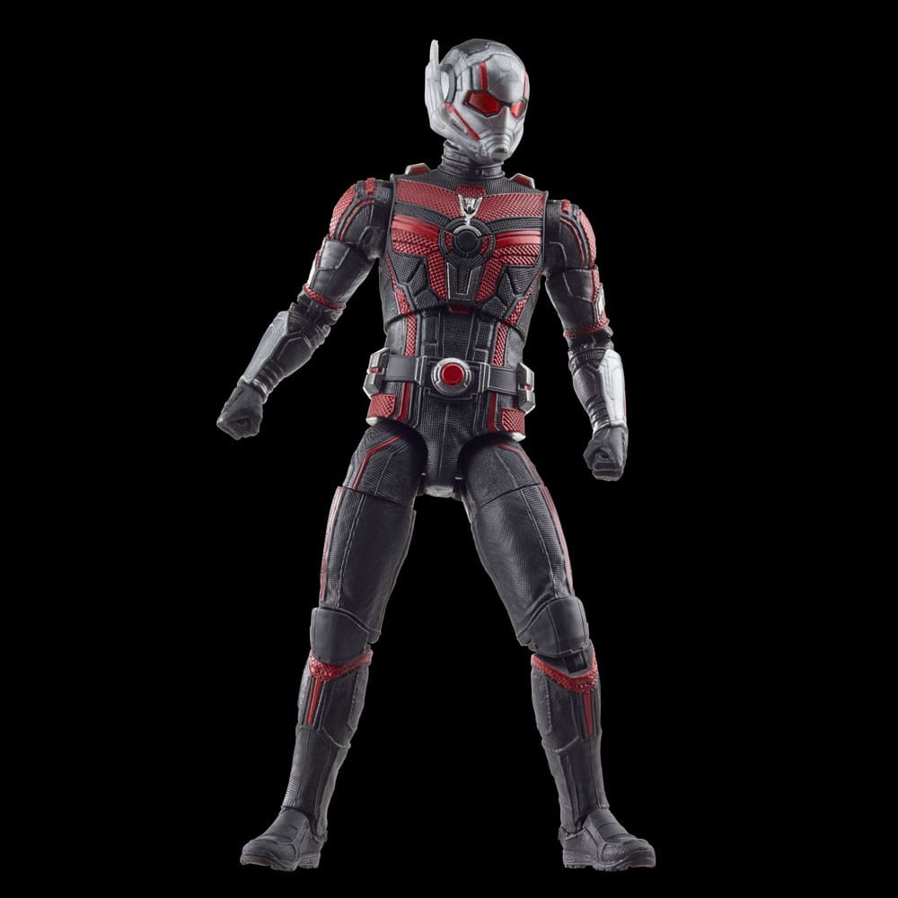 Hasbro | Ant-Man and the Wasp Quantumania - Ant-Man (Marvel Legends Series) 15 cm