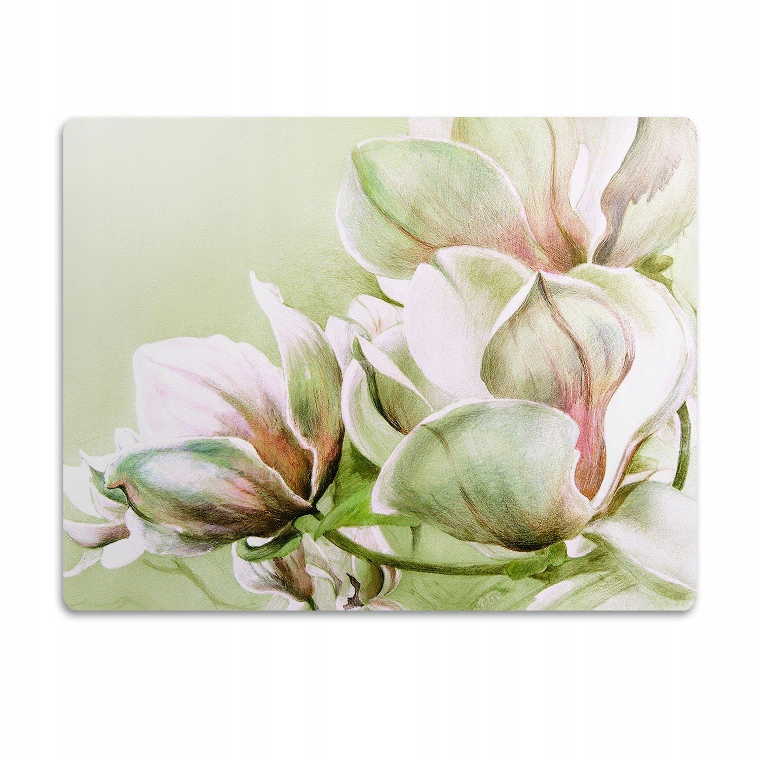 Pro psa kočky podložka pod misku Květiny magnolie 90x60