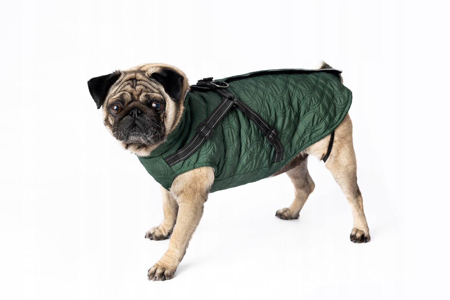 Obleček pro psa bunda pro podzimní dny zelená XXL