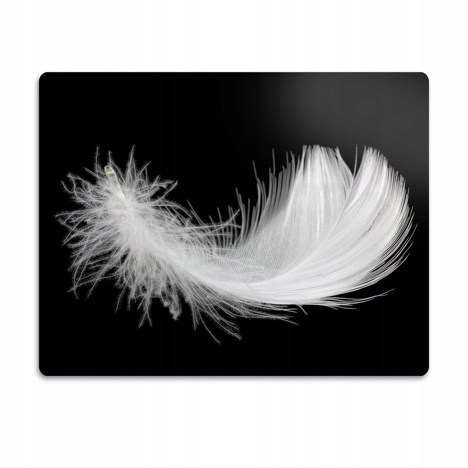 Pro kočku podložka pod záchod Bílé peří 90x60 cm