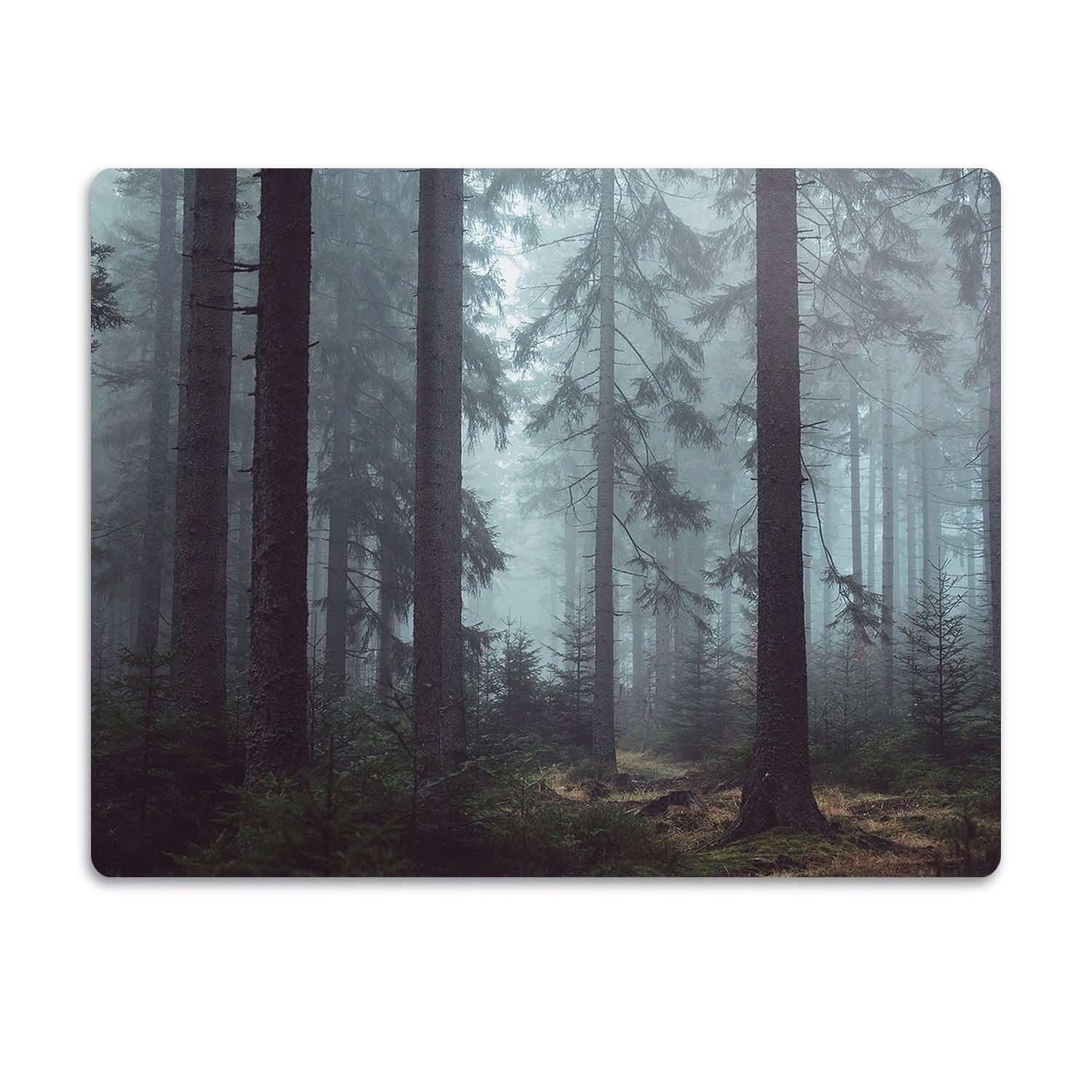 Pro psa podložka pod misky Mlhavý les 90x60 cm