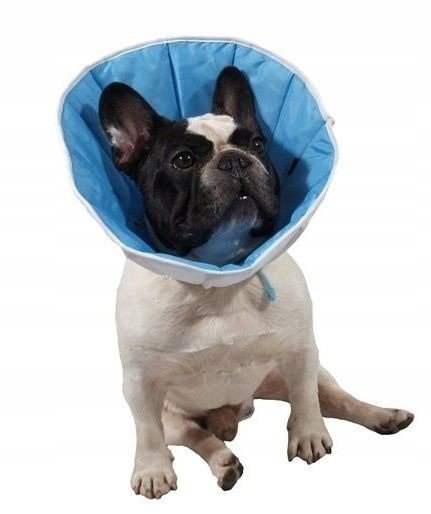 Pooperační obojek pro psa Gf 5 XXL