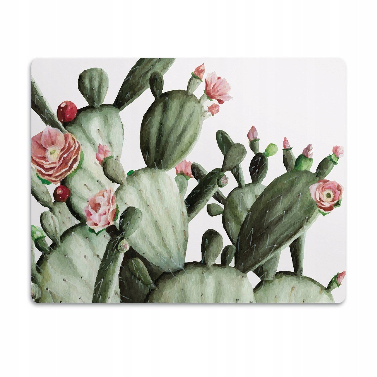 Pro kočku podložka pod záchod Kaktusy přiblížení 90x60cm