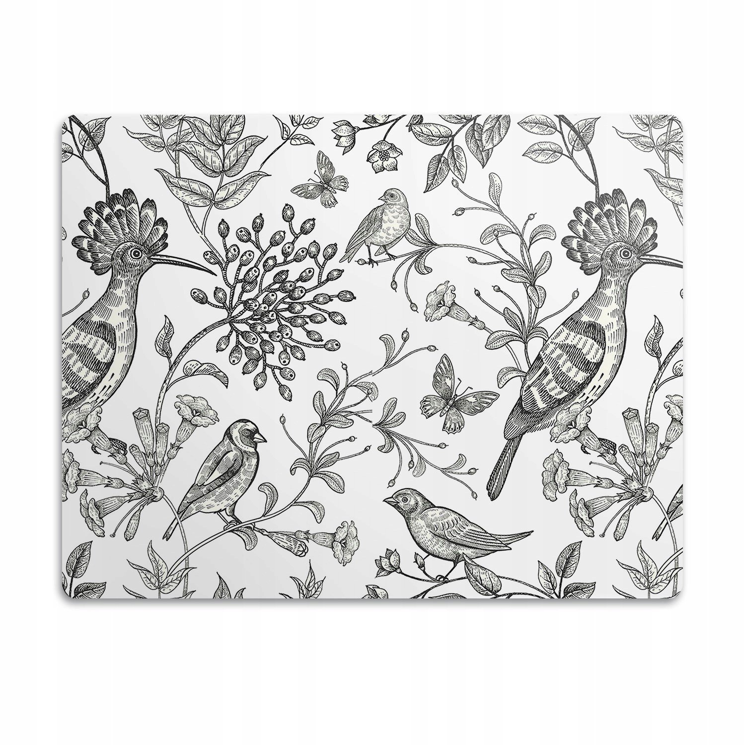 Podložka pod misku pro kočku psa Nakreslení ptáci 90x60