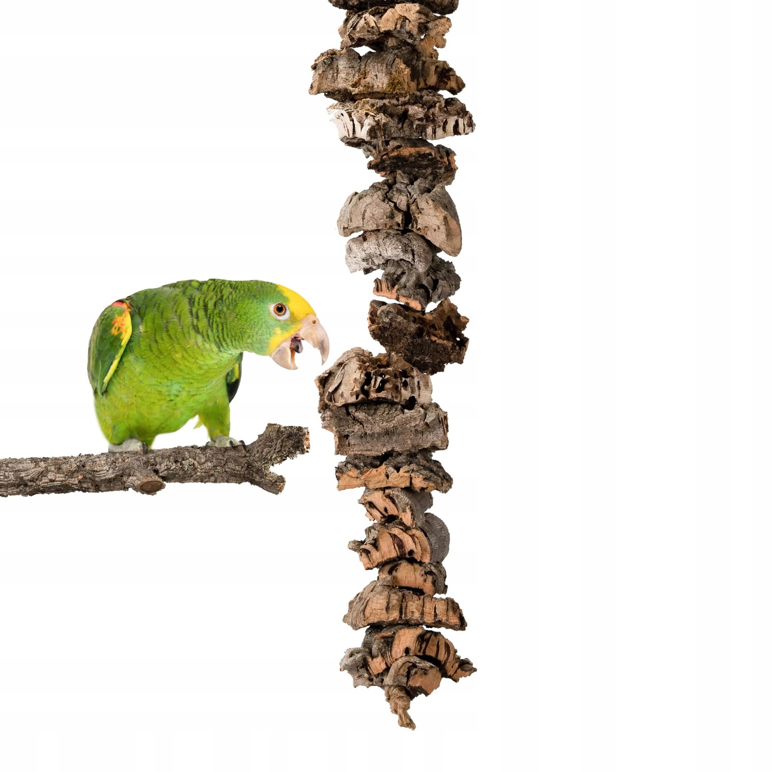 Přírodní kousátko kůra korkového dubu pro papoušky XL