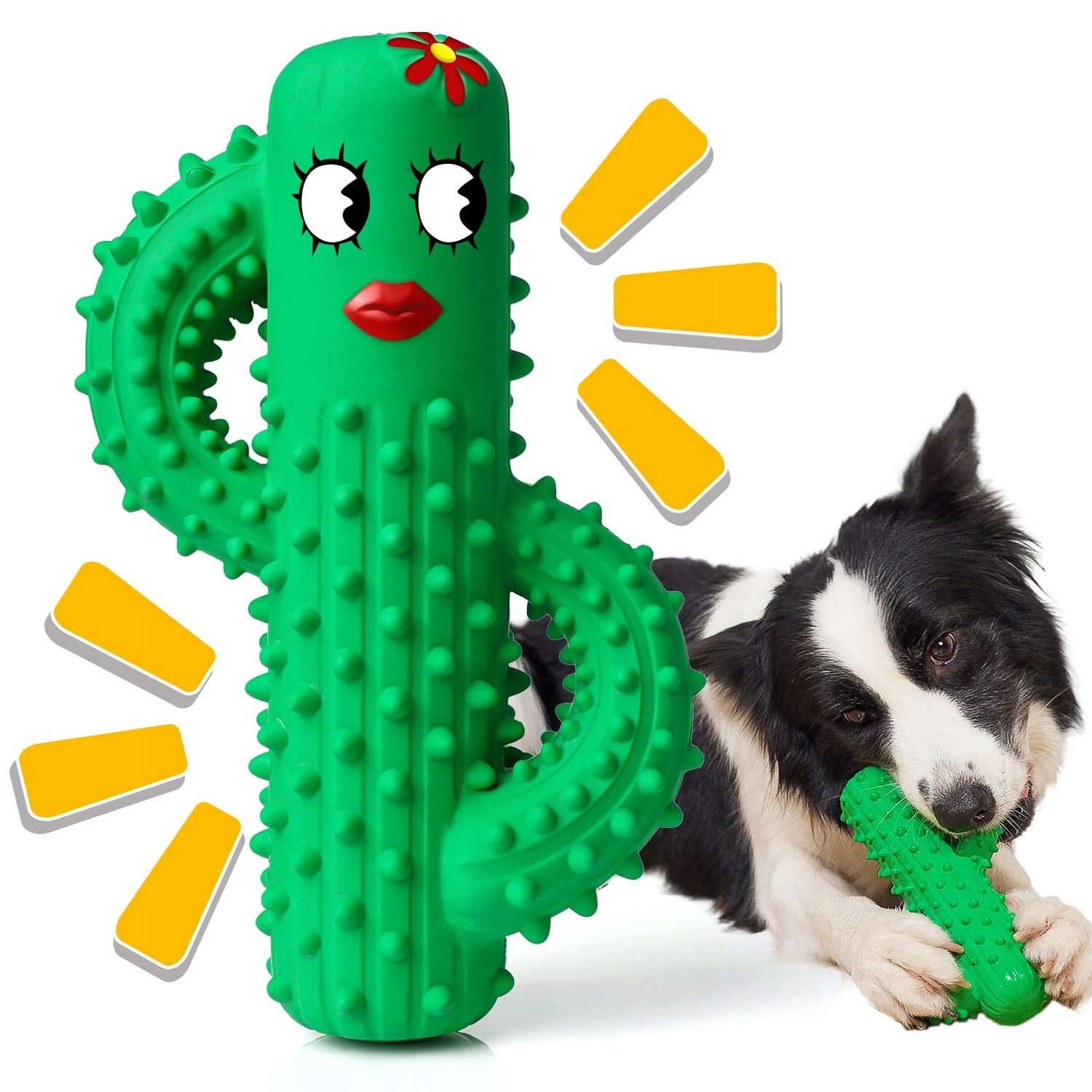 Silná gumová hračka Kaktus Zelená
