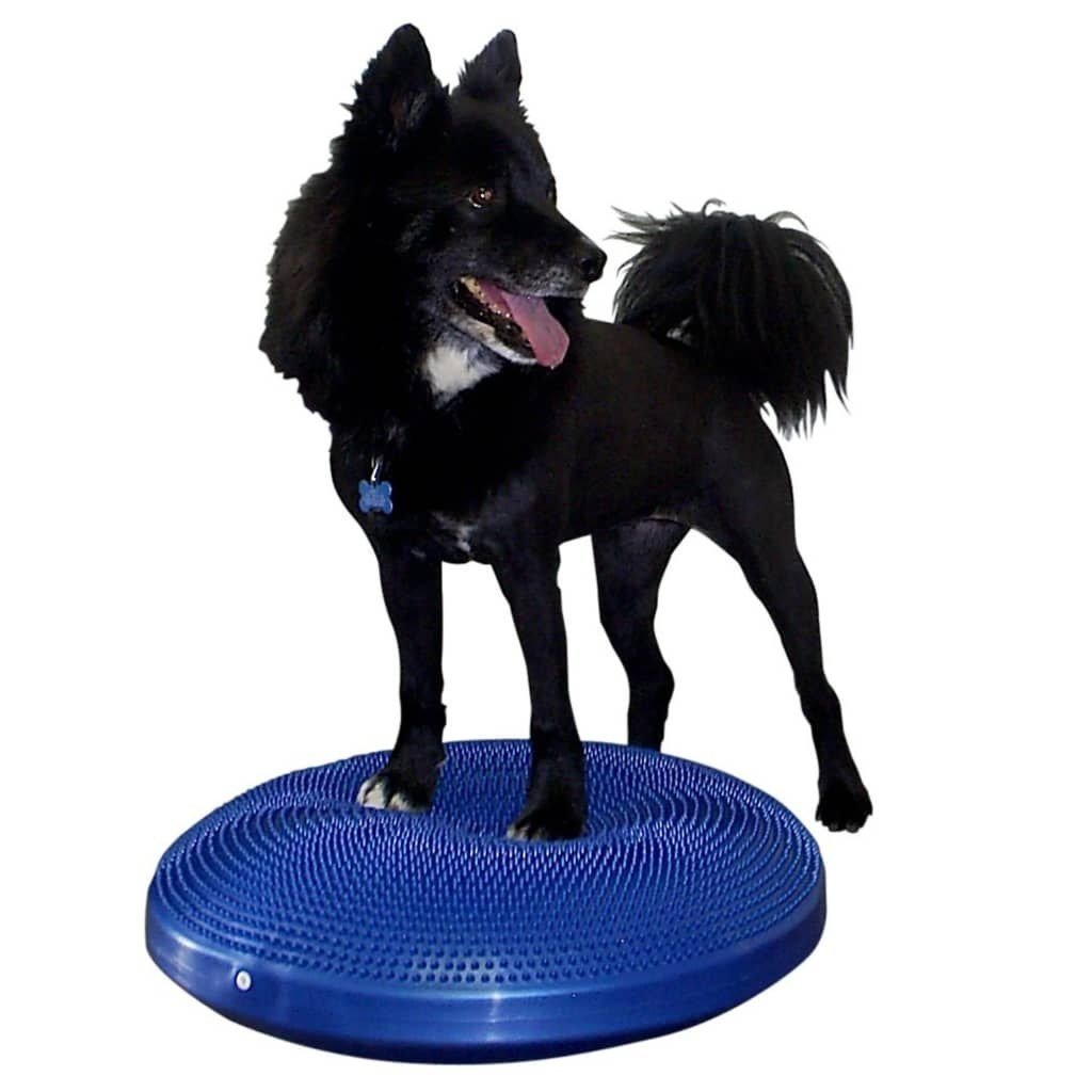 FitPAWS Ekvivalentní disk pro zvířata 56 cm modrý