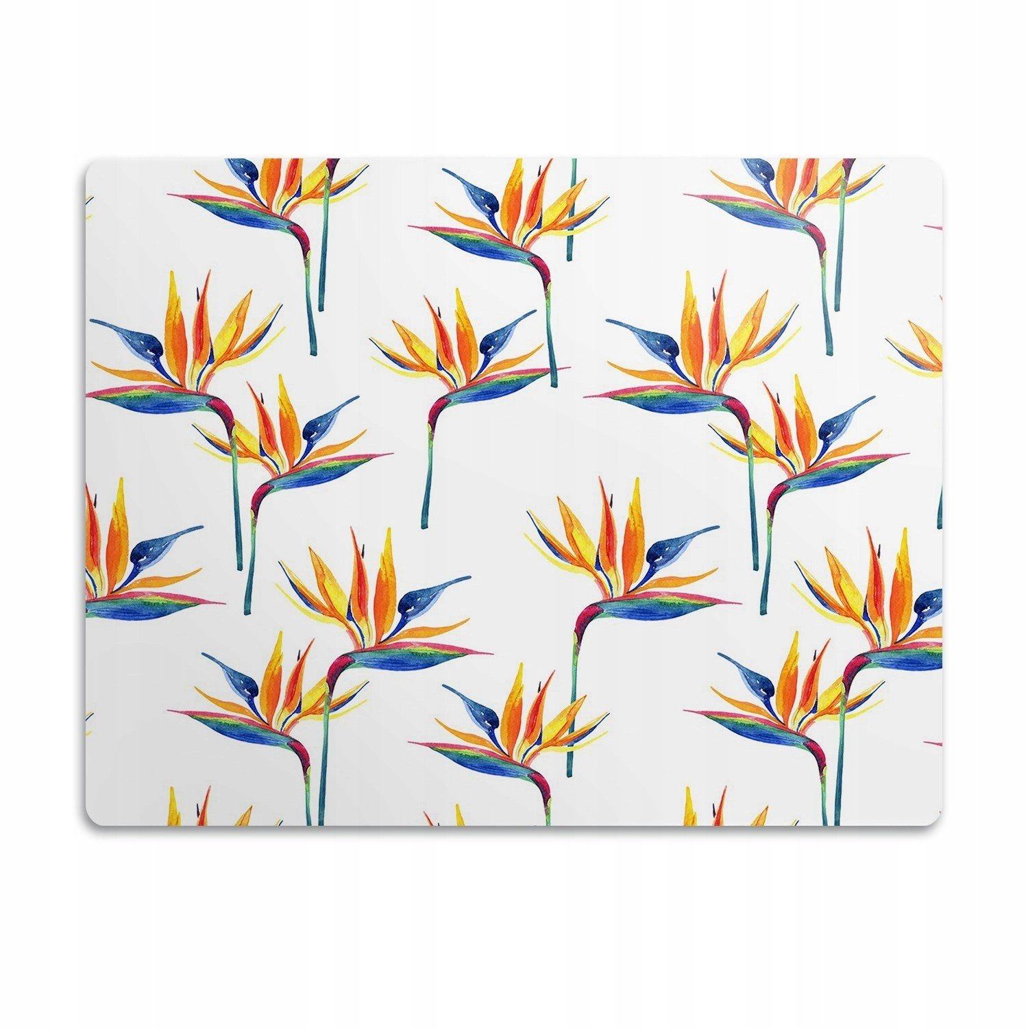 Podložka pod záchod pro kočky Barevné rostliny 90x60 cm