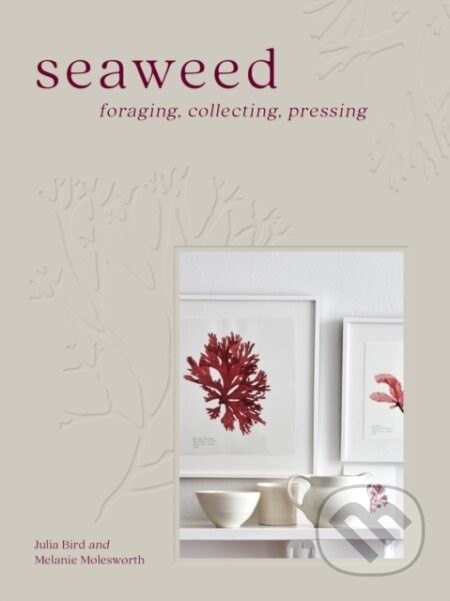 Seaweed - Melanie Molesworth, Julia Bird