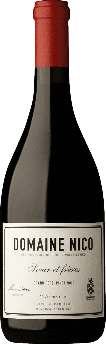 Domaine Nico Grande Pere Pinot Noir 2021