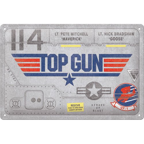 Postershop Plechová cedule Top Gun - Aircraft Metal, (30 x 20 cm)