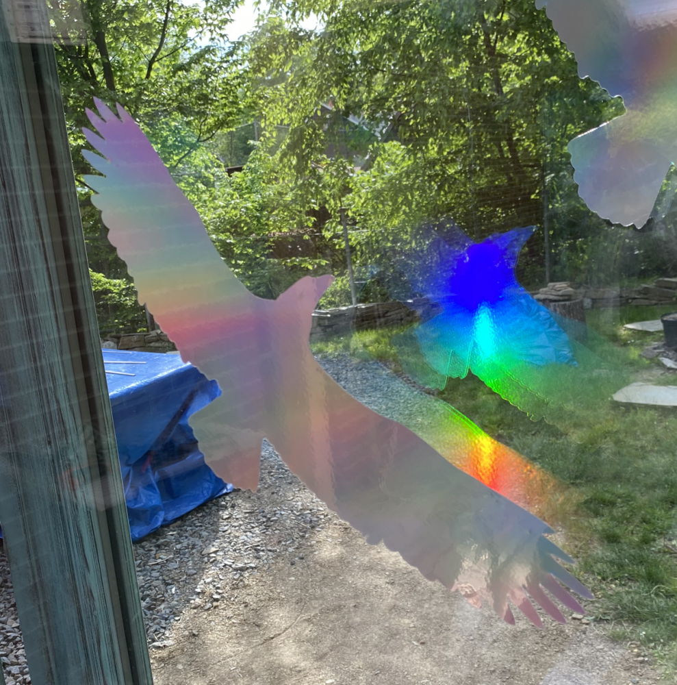 Silueta dravce z holografické fólie Fantasy rainbow, proti narážení ptáků do skla Silueta dravce z holografické folie Fantasy rainbow (65 x 150 mm tl. 0,065 mm) - kód: 24607