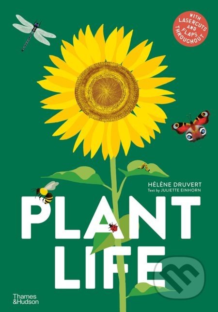 Plant Life - Hélène Druvert