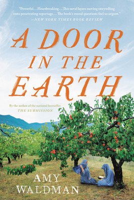 A Door in the Earth (Waldman Amy)(Paperback)