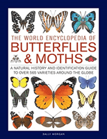 The World Encyclopedia of Butterflies & Moths: A Natural History and Identification Guide to Over 565 Varieties Around the Globe (Morgan Sally)(Pevná vazba)