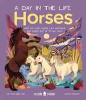 Horses (A Day in the Life) - What Do Wild Horses Like Mustangs and Ponies Get Up To All Day? (Anne York Carly)(Pevná vazba)