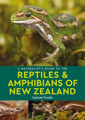 A Naturalist's Guide to the Reptiles & Amphibians of New Zealand (Purdie Samuel)(Paperback)