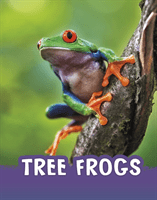 Tree Frogs (Jaycox Jaclyn)(Pevná vazba)