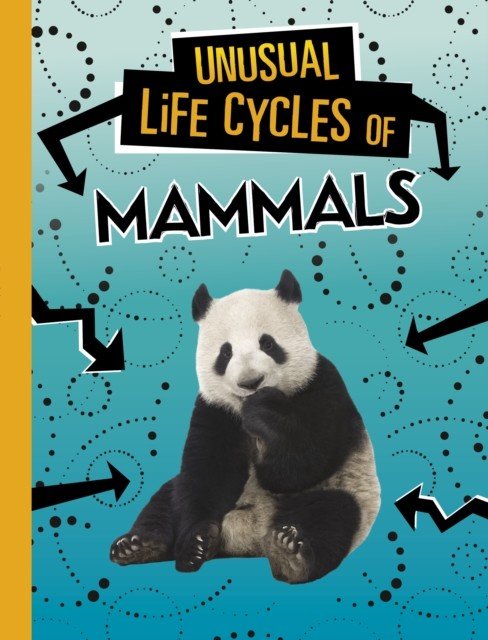 Unusual Life Cycles of Mammals (Jaycox Jaclyn)(Paperback / softback)