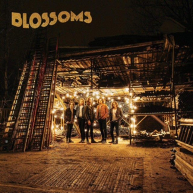Blossoms (Blossoms) (Vinyl / 12