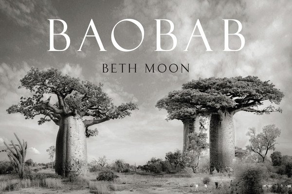 Baobab (Moon Beth)(Pevná vazba)