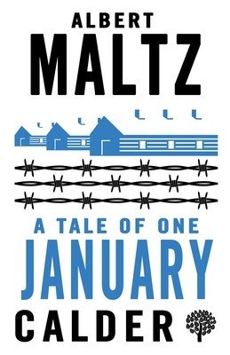 A Tale of One January (Maltz Albert)(Paperback)