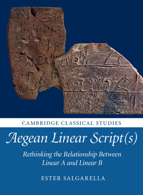 Aegean Linear Script(s): Rethinking the Relationship Between Linear A and Linear B (Salgarella Ester)(Paperback)