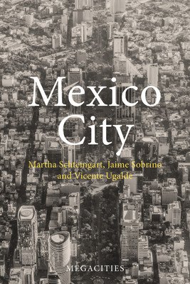 Mexico City (Schteingart Professor Martha (El Colegio de Mexico Mexico City))(Pevná vazba)