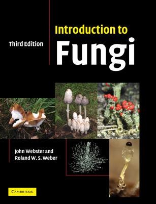 Introduction to Fungi (Webster John)(Paperback)
