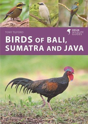 Birds of Bali, Sumatra and Java (Tilford Tony)(Paperback)