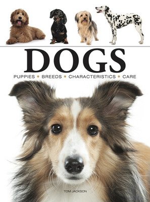 Dogs (Jackson Tom)(Paperback)