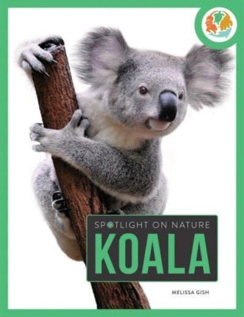 Spotlight on Nature: Koala (Gah Melissa)(Paperback / softback)