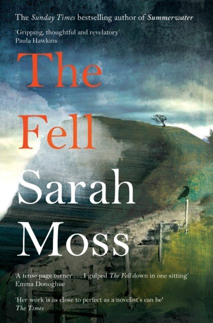 Fell (Moss Sarah)(Paperback / softback)