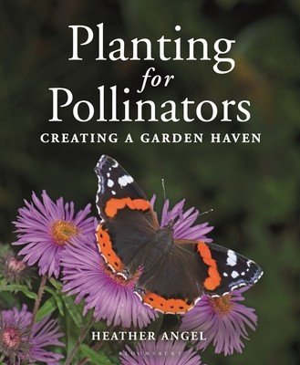 Planting for Pollinators: Creating a Garden Haven (Angel Heather)(Paperback)