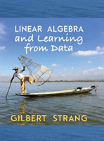 Linear Algebra and Learning from Data (Strang Gilbert)(Pevná vazba)
