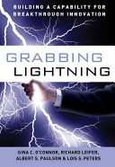 Grabbing Lightning: Building a Capability for Breakthrough Innovation (O'Connor G. C.)(Pevná vazba)