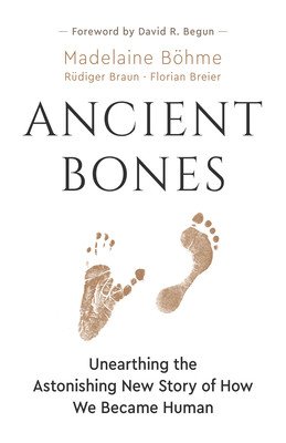 Ancient Bones: Unearthing the Astonishing New Story of How We Became Human (Bhme Madelaine)(Paperback)
