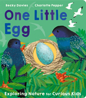 One Little Egg (Davies Becky)(Board book)