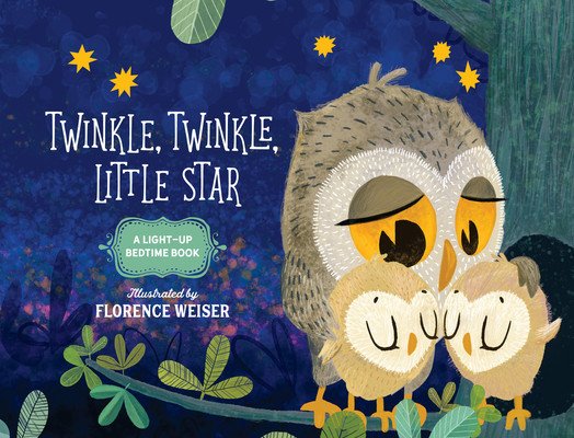 Twinkle, Twinkle, Little Star: A Light-Up Bedtime Book (Weiser Florence)(Board Books)
