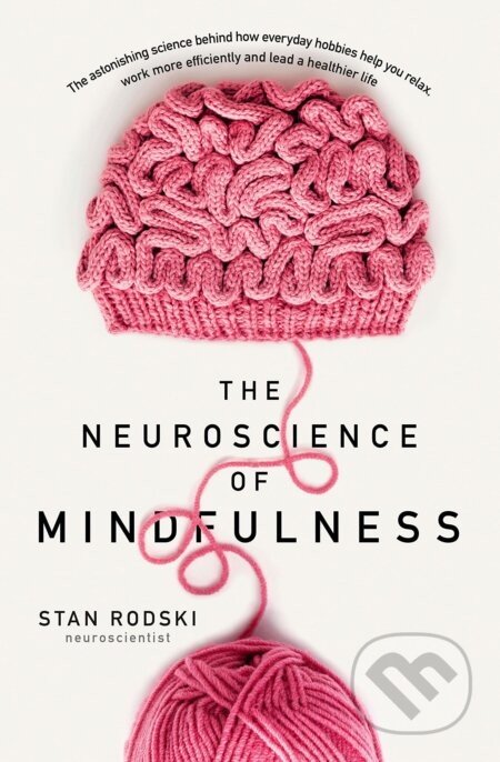 The Neuroscience of Mindfulness - Stan Rodski