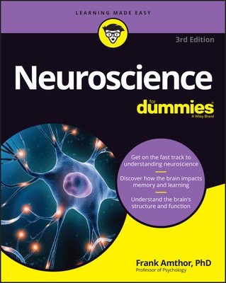 Neuroscience for Dummies (Amthor Frank)(Paperback)