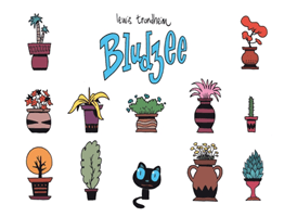 Bludzee(Pevná vazba)