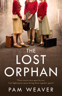 The Lost Orphan (Weaver Pam)(Paperback)