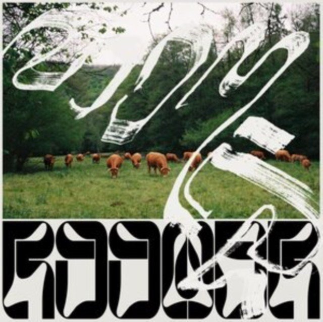 Skice (Roomer) (Vinyl / 10